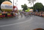 tdp11